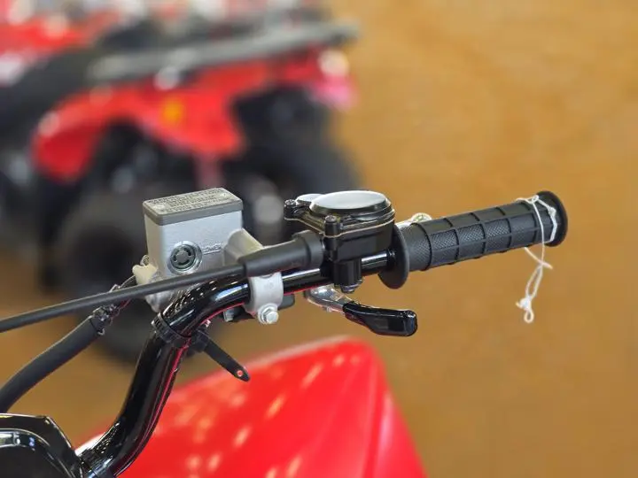 2025 Honda® Trx250x - Photo 13