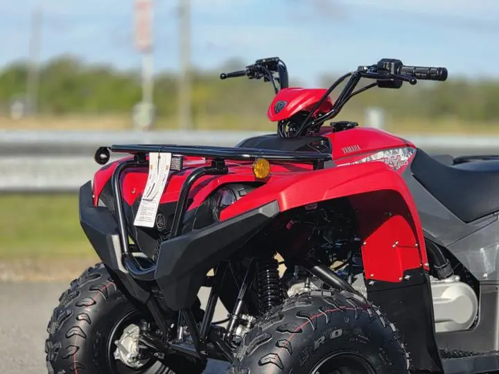2025 Yamaha Grizzly 110 - Photo 4