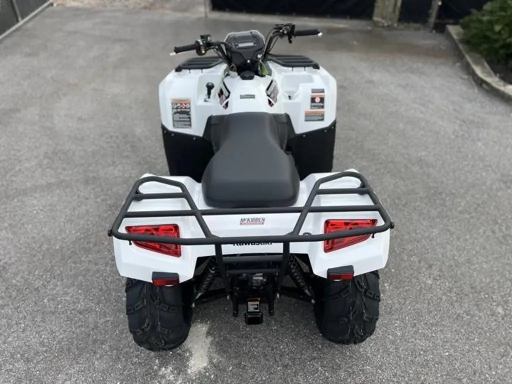 2025 Kawasaki Brute Force 450 4x4 - Photo 8