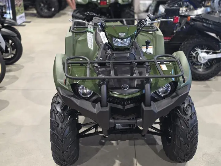 2025 Yamaha Kodiak 450 - Photo 11