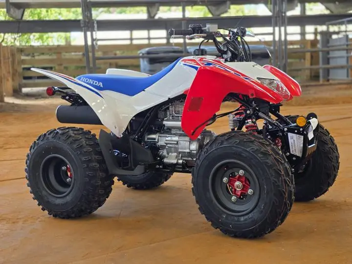 2025 Honda® Trx250x - Photo 10
