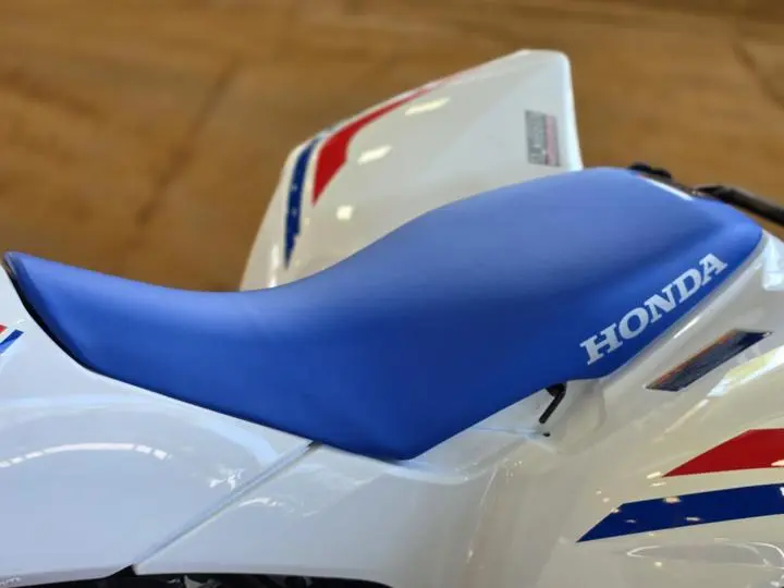 2025 Honda® Trx250x - Photo 11