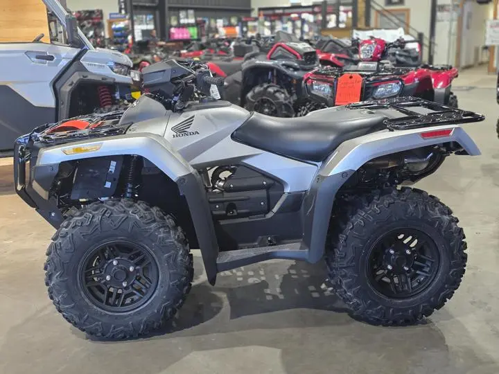 2025 Honda® Fourtrax Rubicon 700 4x4 Automatic Matte Silver Metallic - Photo 6