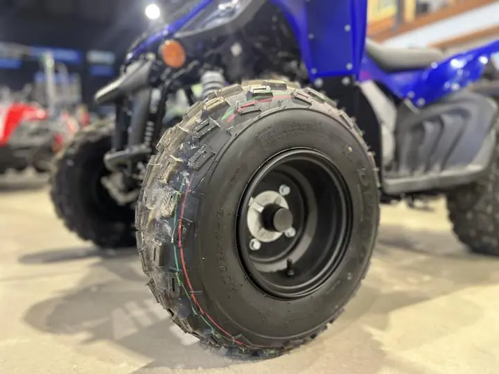2025 Yamaha Raptor 110 - Photo 3