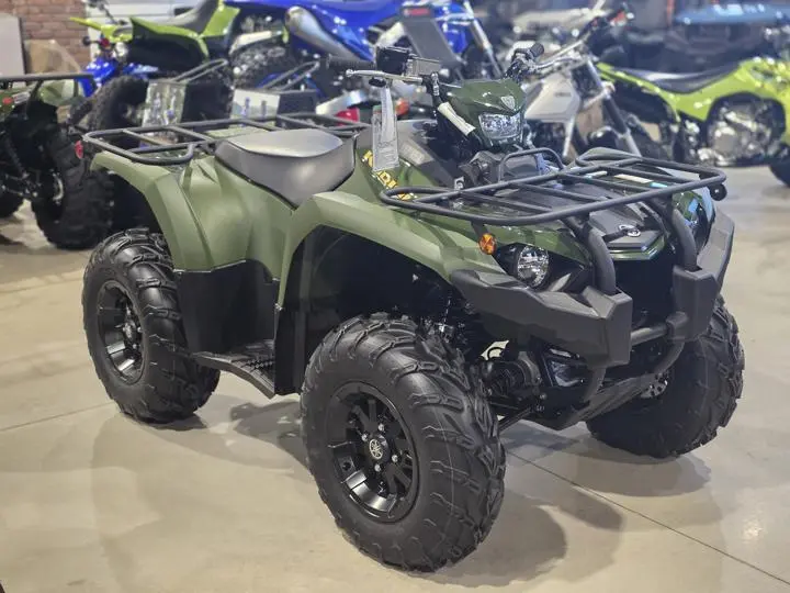 2025 Yamaha Kodiak 450 - Photo 10