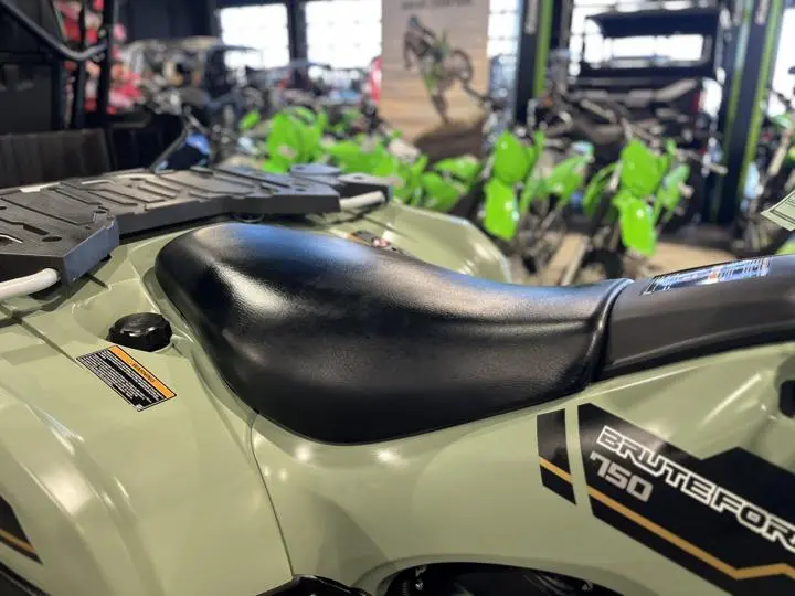 2025 Kawasaki Brute Force 750 Le Eps - Photo 14