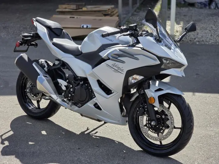 2025 Kawasaki Ninja 500 Abs - Photo 15