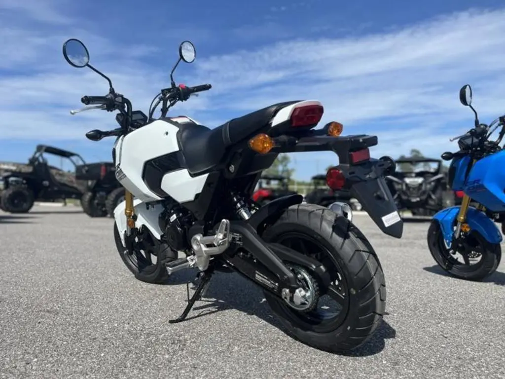 2025 Honda® Grom ABS - Photo 4