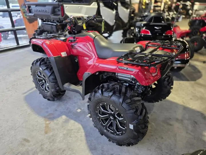 2025 Honda® Fourtrax Foreman Rubicon 4x4 Automatic Dct Eps - Photo 7
