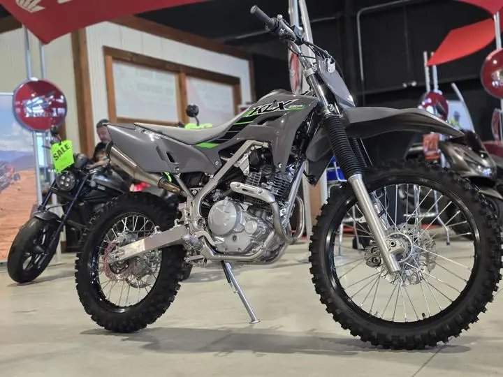 2025 Kawasaki Klx230r S - Photo 9