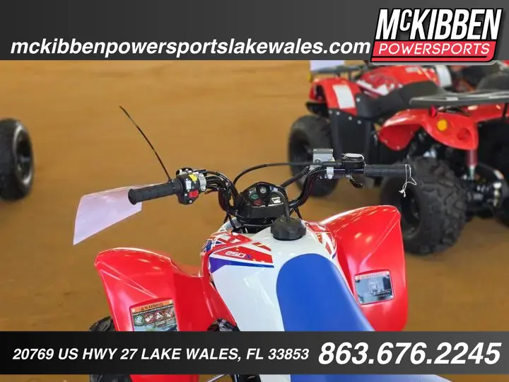 2025 Honda® Trx250x - Photo 16