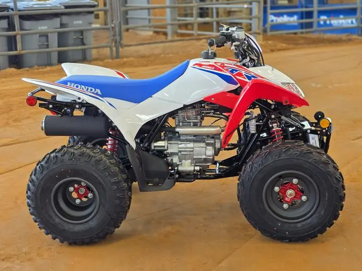 2025 Honda® Trx250x - Photo 9