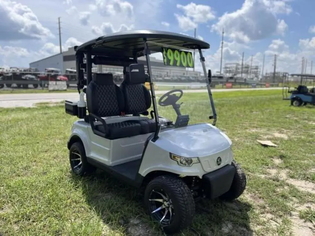 2024 Epic Carts E20 - Photo 6