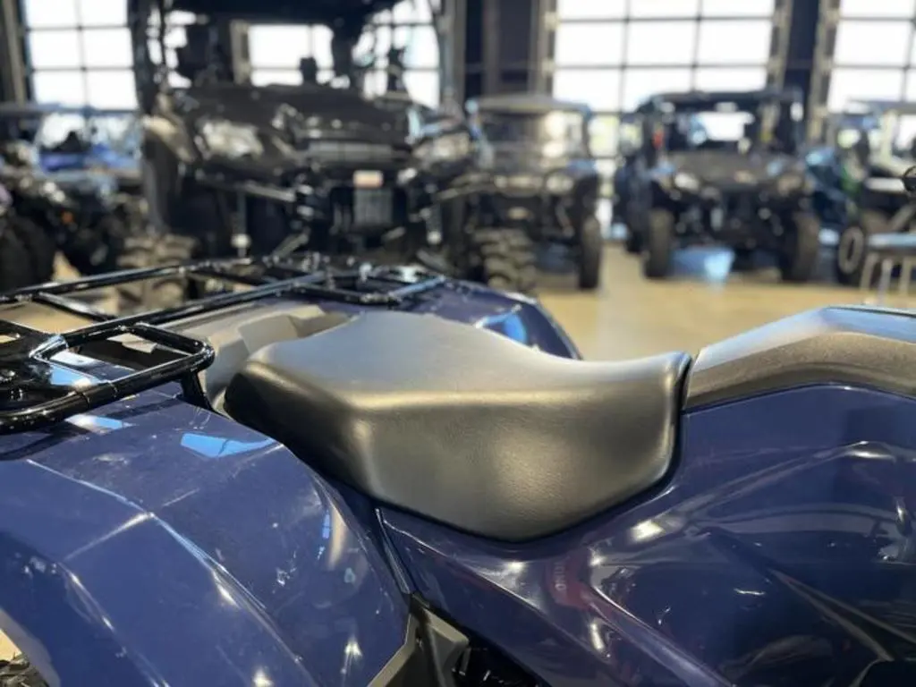 2025 Honda® FourTrax Rancher 4x4 Automatic DCT IRS EPS - Photo 15
