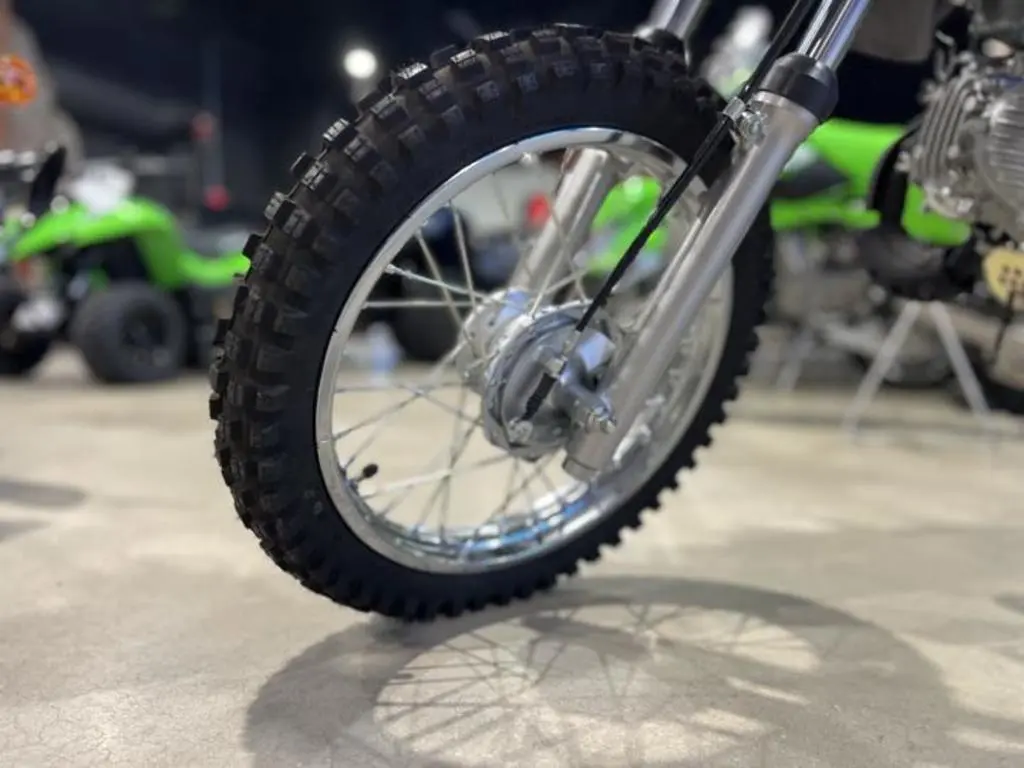2025 Kawasaki KLX110R L - Photo 3