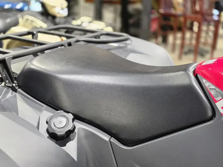 2025 Yamaha Grizzly Eps - Photo 11
