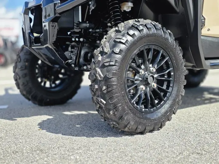 2025 Honda® Pioneer 1000-5 MCK Custom - Photo 3