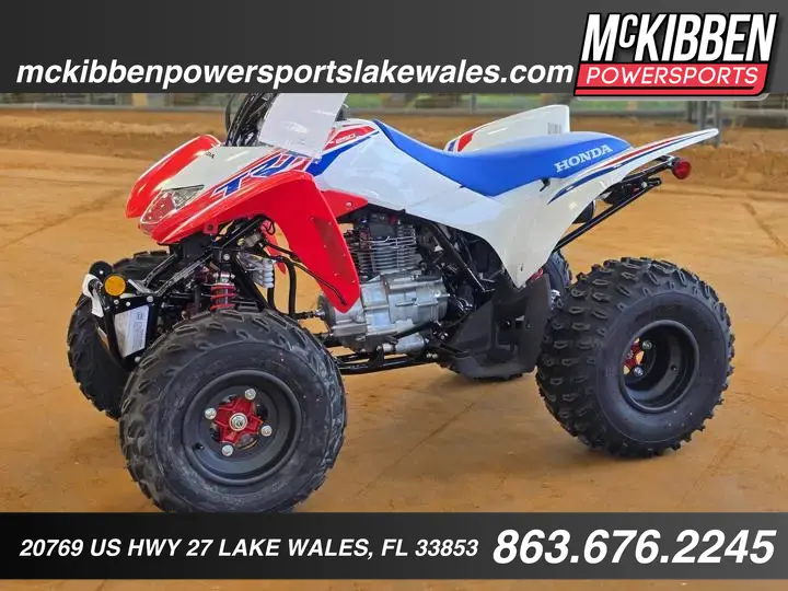 2025 Honda® Trx250x