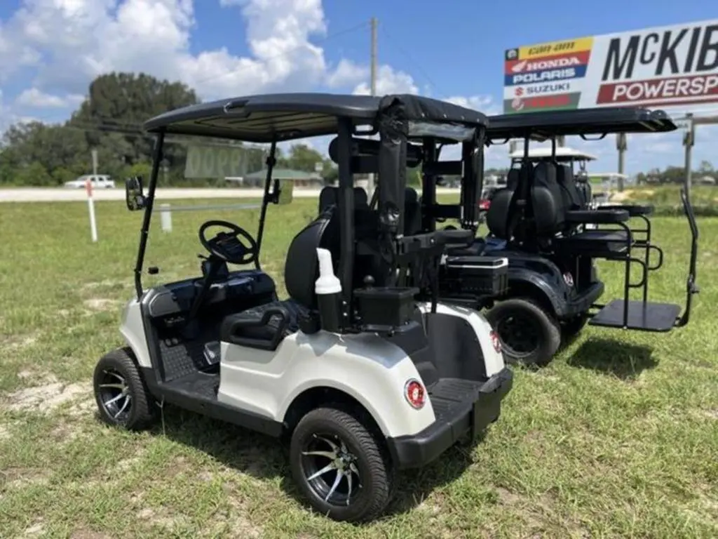 2024 Epic Carts E20 - Photo 7