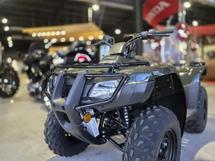 2025 Honda® Fourtrax Recon - Photo 4