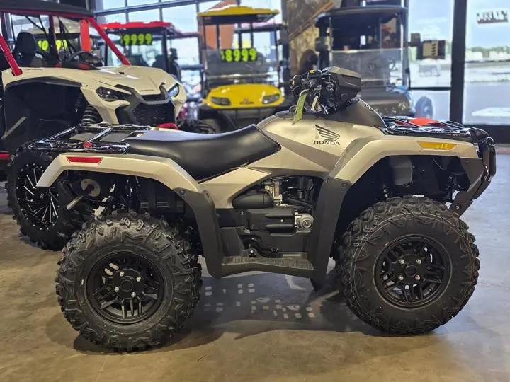 2025 Honda® Fourtrax Rubicon 700 4x4 Automatic Matte Silver Metallic - Photo 10