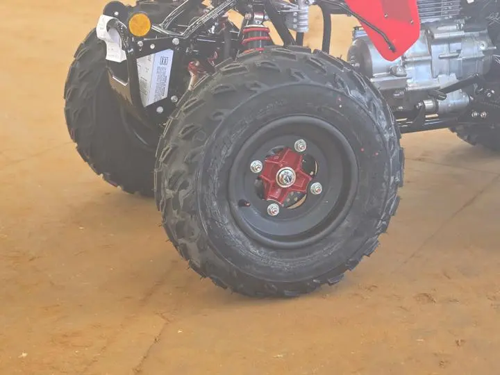 2025 Honda® Trx250x - Photo 3