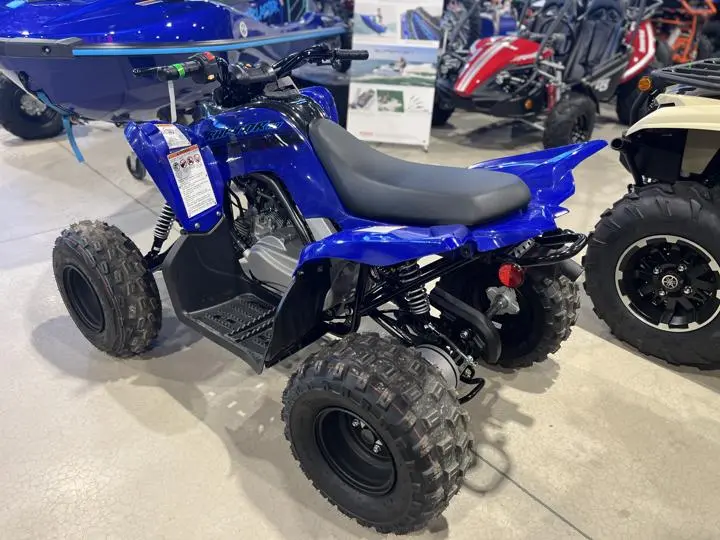 2025 Yamaha Raptor 110 - Photo 6
