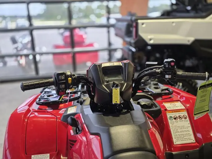 2025 Honda® Fourtrax Foreman Rubicon 4x4 Automatic Dct Eps - Photo 16