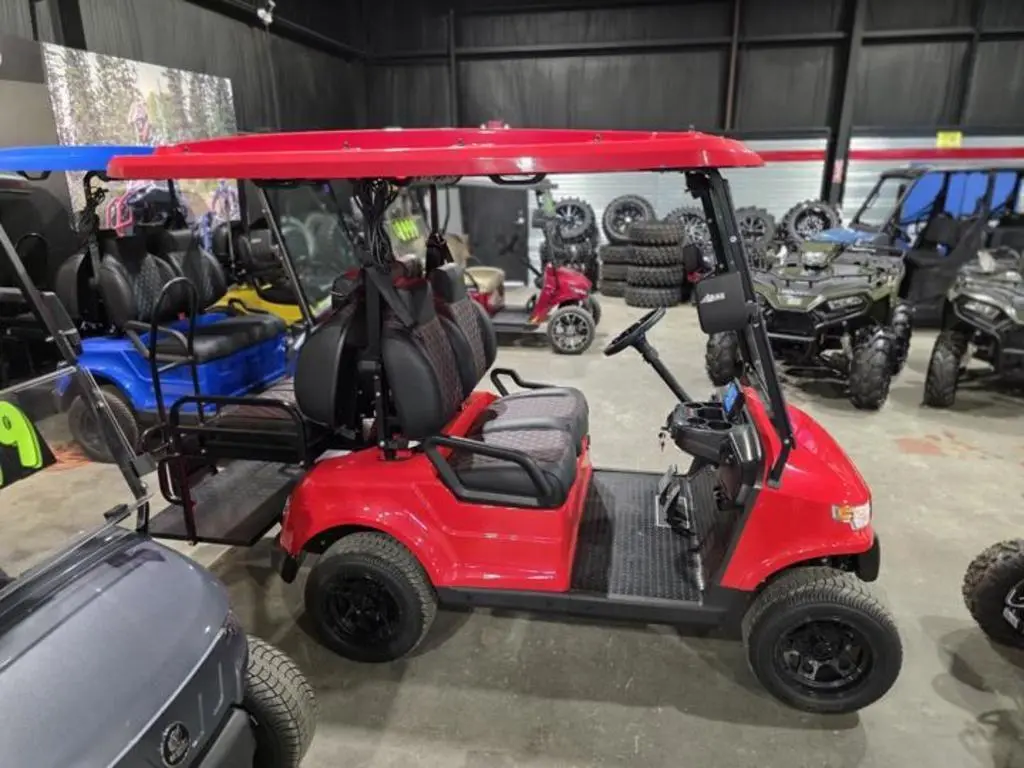 2024 Epic Carts E40 - Photo 8