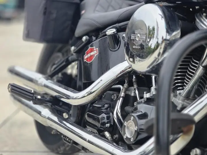 2015 Harley-Davidson® Fls - Softail Slim - Photo 12