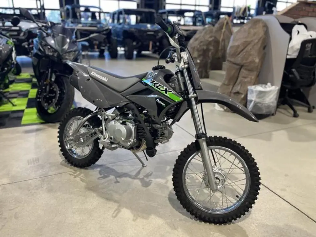 2025 Kawasaki KLX110R L - Photo 10