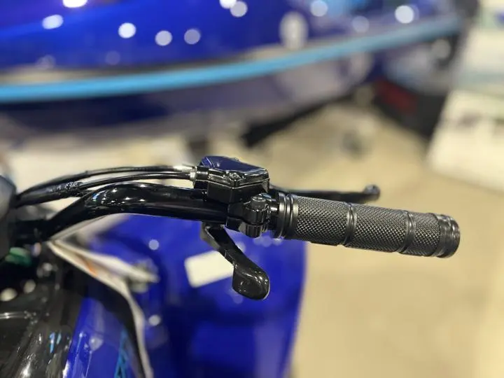 2025 Yamaha Raptor 110 - Photo 13