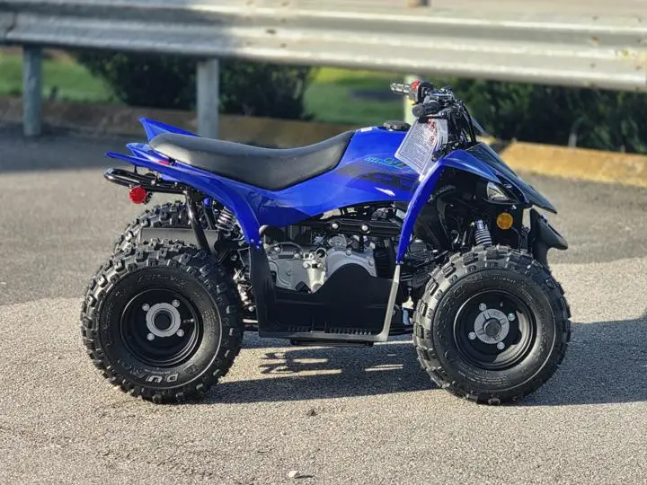 2025 Yamaha Yfz50 - Photo 15