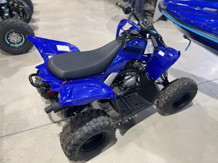 2025 Yamaha Raptor 110 - Photo 8