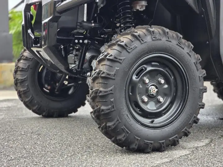 2025 Honda® Pioneer 1000-5 - Photo 3