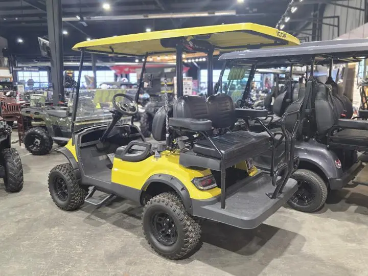 2023 Icon EV i40L - Photo 6