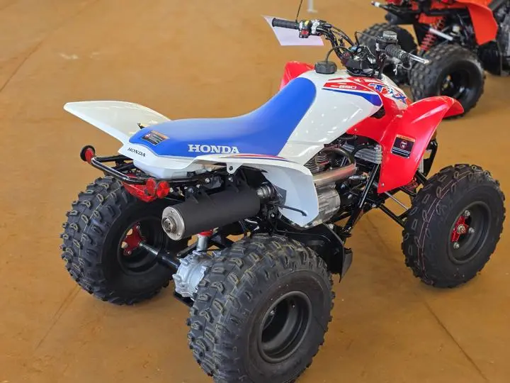 2025 Honda® Trx250x - Photo 8