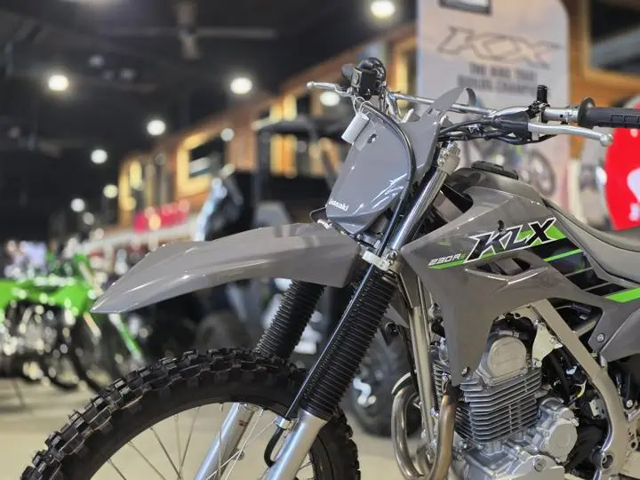 2025 Kawasaki Klx230r S - Photo 4