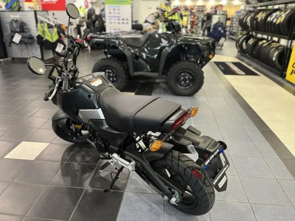 2025 Honda® Grom SP - Photo 7