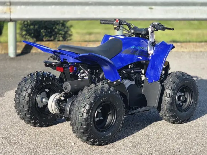 2025 Yamaha Yfz50 - Photo 9