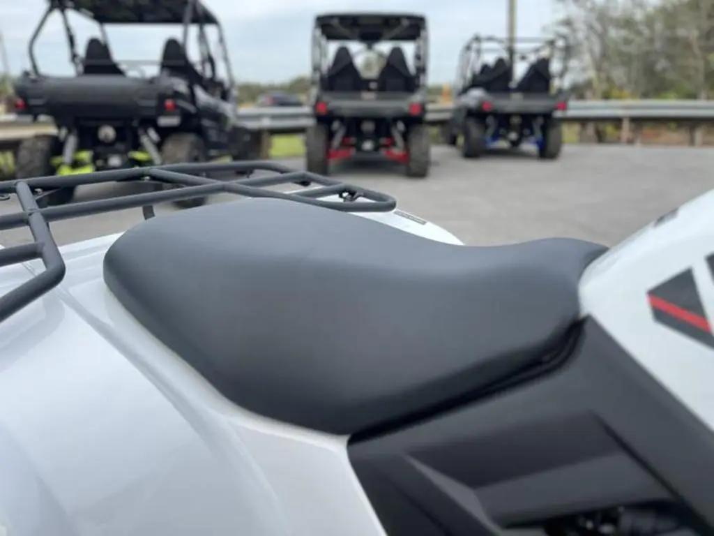 2025 Kawasaki Brute Force 450 4x4 - Photo 13