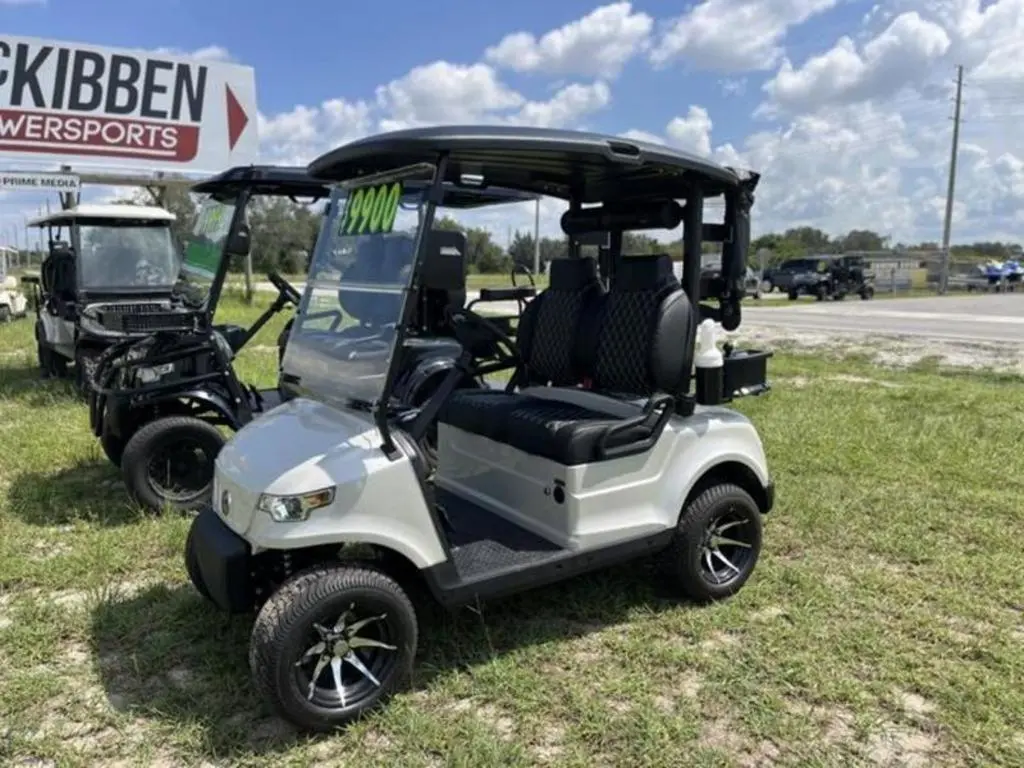 2024 Epic Carts E20 - Photo 3