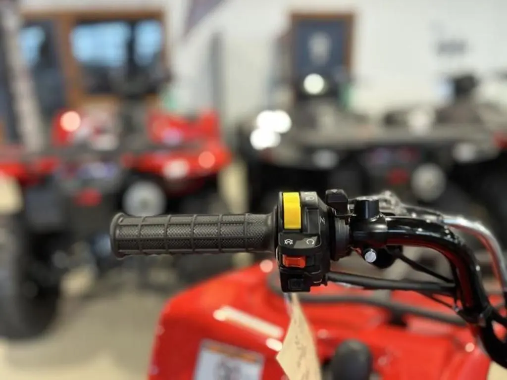 2024 Suzuki KingQuad 400FSi - Photo 11