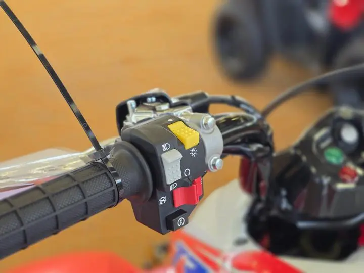 2025 Honda® Trx250x - Photo 12