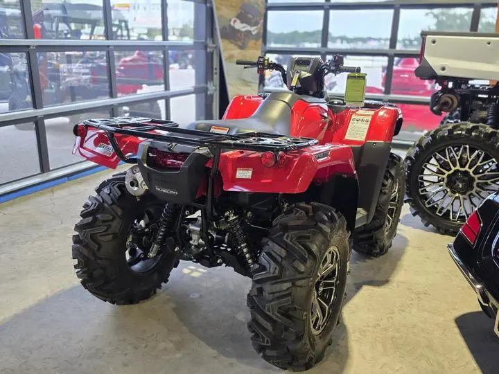 2025 Honda® Fourtrax Foreman Rubicon 4x4 Automatic Dct Eps - Photo 10