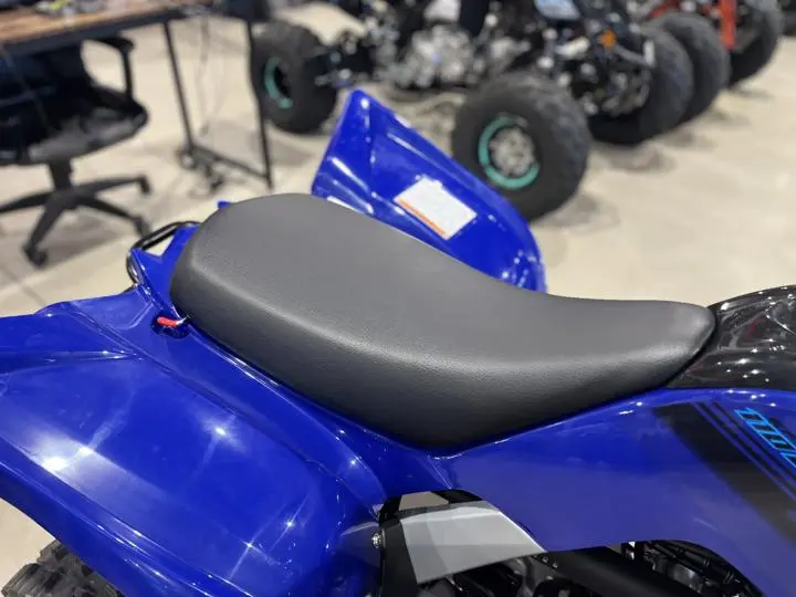 2025 Yamaha Raptor 110 - Photo 11