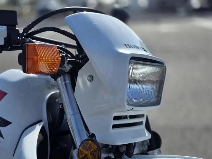 2025 Honda® Xr650l - Photo 12