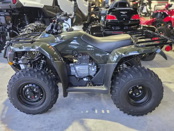 2025 Honda® Fourtrax Recon - Photo 6