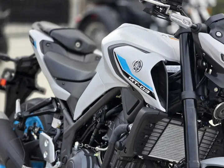 2025 Yamaha Mt-03 - Photo 12