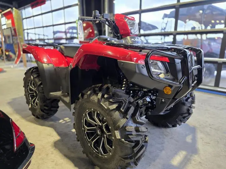 2025 Honda® Fourtrax Foreman Rubicon 4x4 Automatic Dct Eps - Photo 11